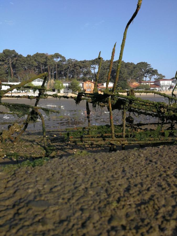 La Du Truquet Holiday home Lege-Cap-Ferret